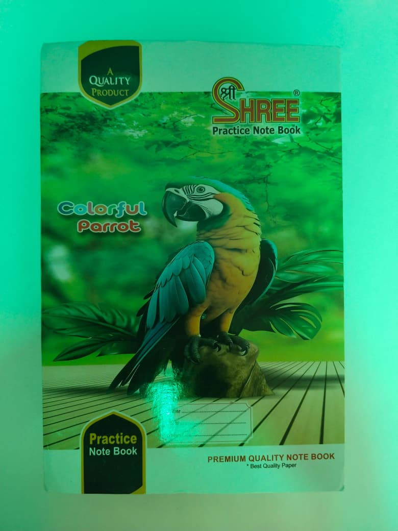 Shree Rough Register - 240 Pages - Image 4