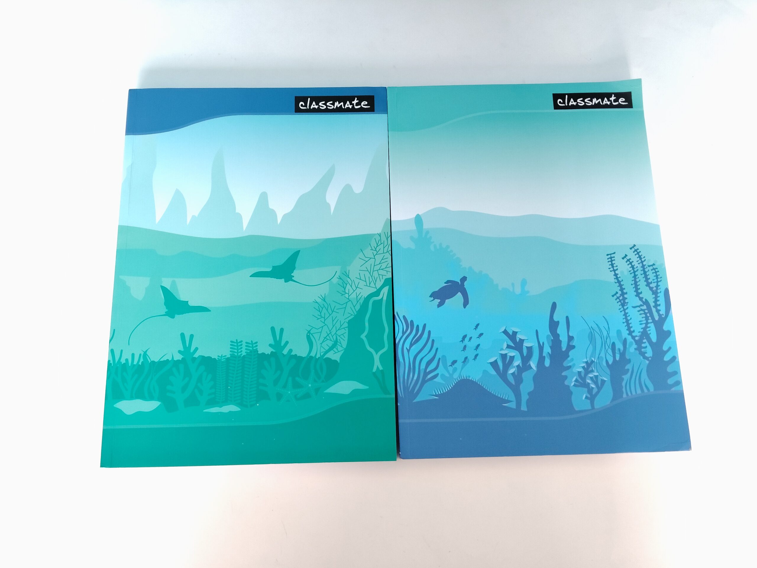 Classmate A4 384 Pages Notebook Single Ruled/Lined | Register - Image 3